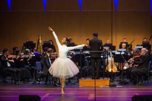 Image of performer of the event